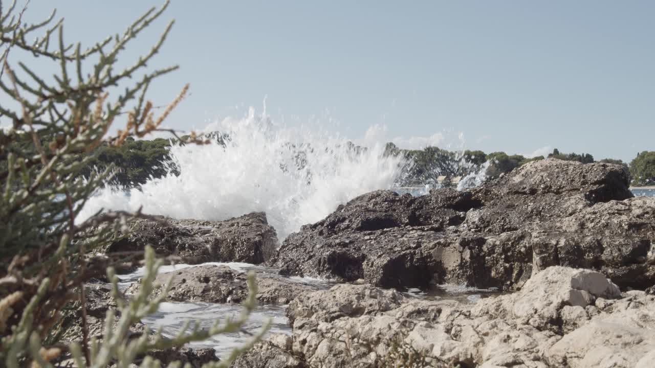 백그라운드에서 숲과 바위 해안에 충돌하는 바다 파도 - 낮은 각도 후면 샷 - 화창한 날 - 풀라, 크로아티아