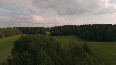 Flight-above-the-trees-to-reveal-the-forest-and-sky-during-an-aerial-flight-4k