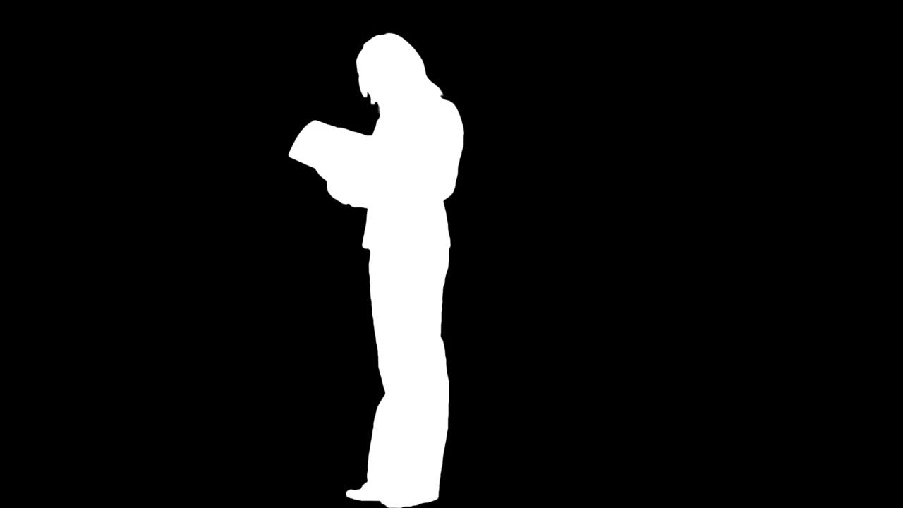 스 ⁇  영상 사업가 여성 실루 ⁇