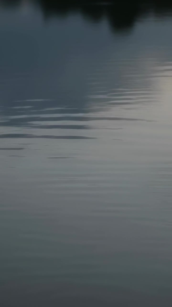 Vertical video: Rippling water surface reacting to light breeze at lake reflecting treeline