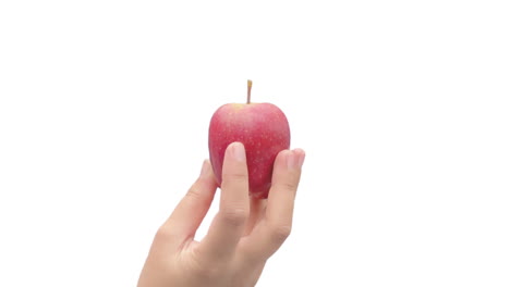 Close-up-shot-of-female-hand-spinning-a-fresh-apple-Isolated-on-clean-white-background