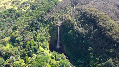 wide aerial view of akaka falls in hawaii, with a tall narrow waterfall dropping from a high cliff into a dark plunge pool, surrounded by thick rainforest