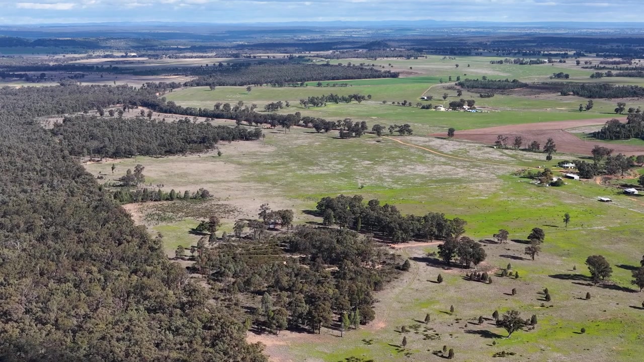 Ripresa con drone dall'alto su pascoli verdi e foreste di eucalipti nel Nuovo Galles del Sud rurale, Australia.