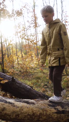 kid walking in the nature