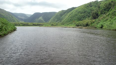 Volando-Más-Allá-De-Una-Persona-Mirando-La-Laguna-En-El-Valle-De-Pololu-Y-Las-Exuberantes-Montañas-Del-Volcán-Kohala-En-La-Isla-Grande-De-Hawaii