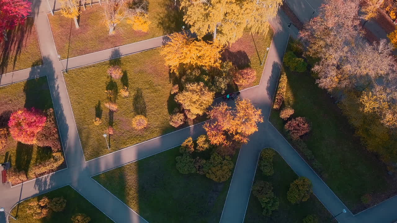 vista aérea del parque de otoño