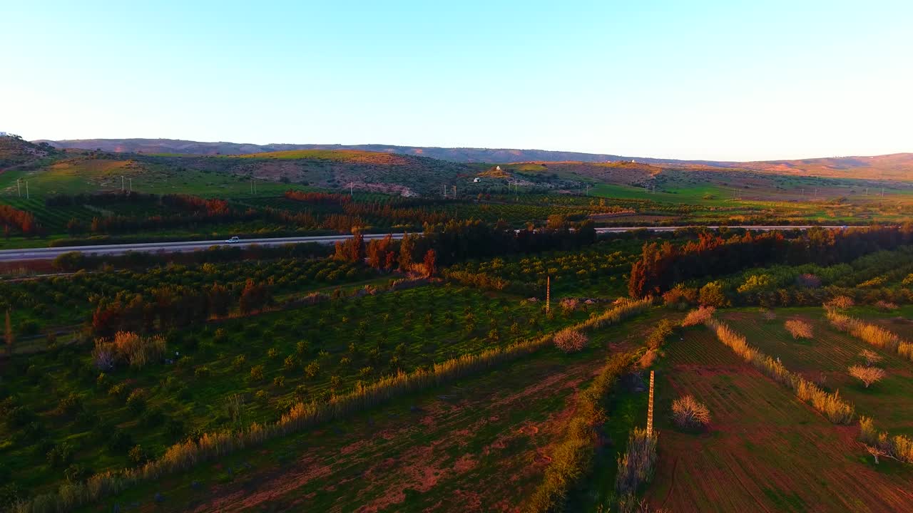 Ripresa aerea con drone di terreno agricolo arato con albero da frutto al tramonto