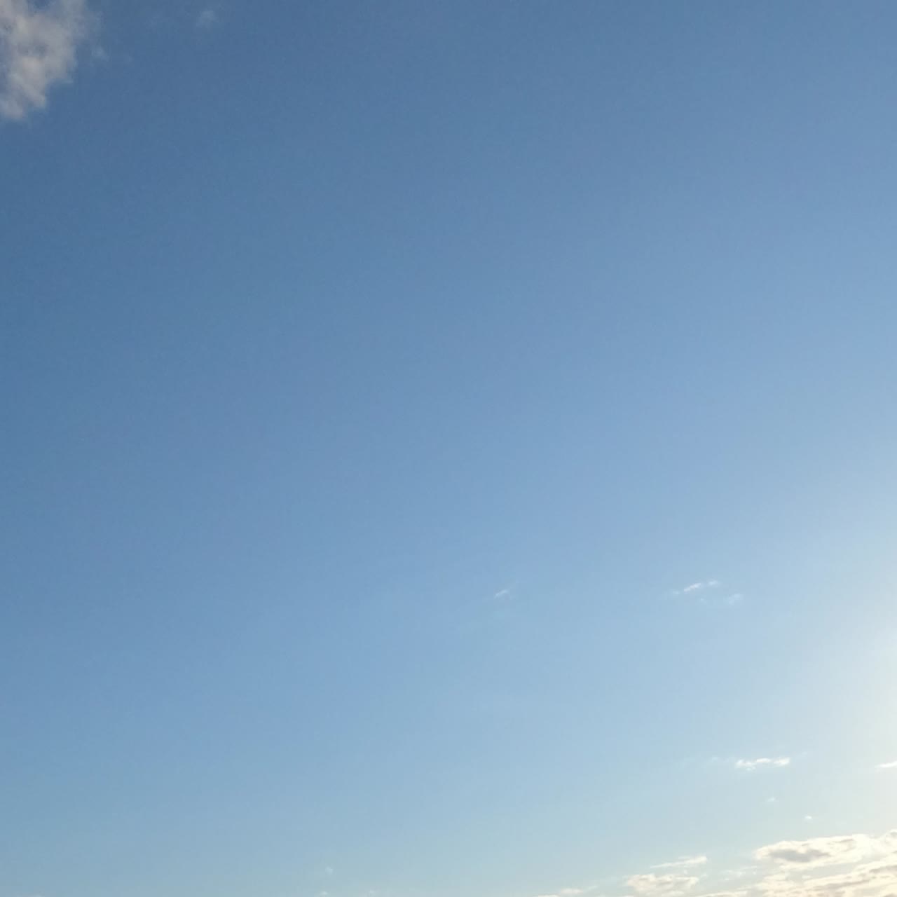 Light grey clouds soaring in the atmosphere slowly. Wind blows the clouds away and blue clear sky appears. Low angle view. Timelapse