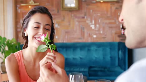 man offering a rose to woman