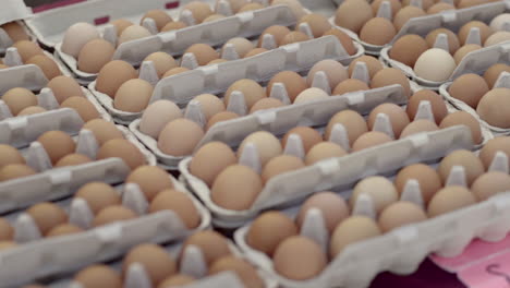 Rows of fresh eggs in cartons at a market