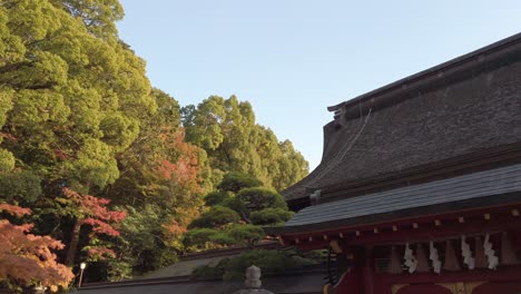 Vista-Lateral-Del-Techo-Del-Santuario-Japonés-Con-Arce-En-Segundo-Plano