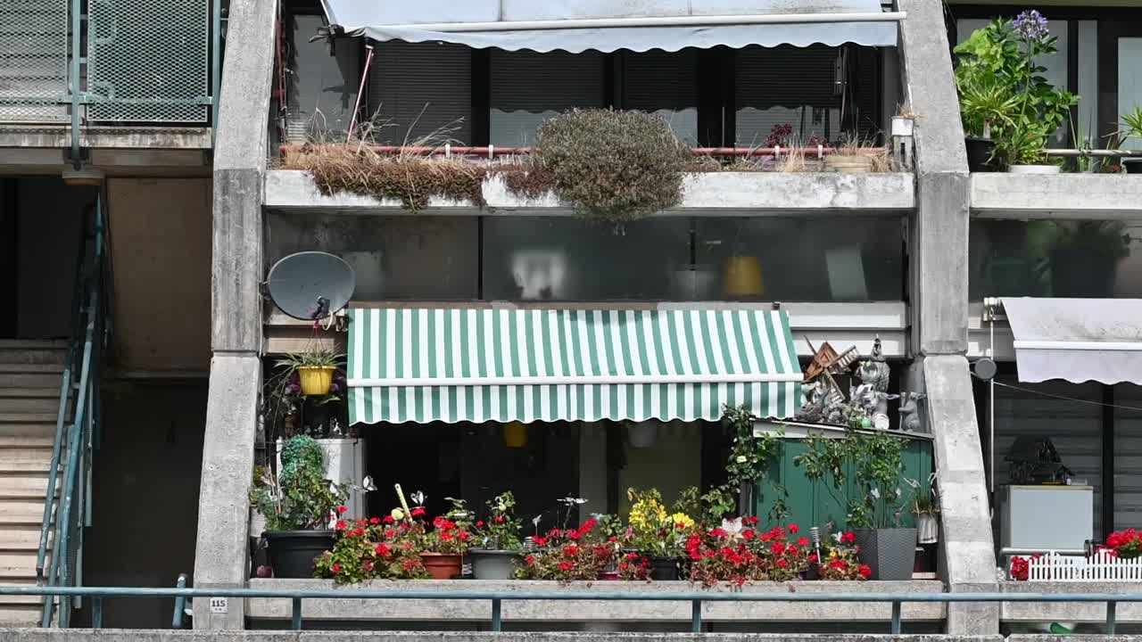 영국 런던의 알렉산드라 로드 파크 내의 꽃 정원