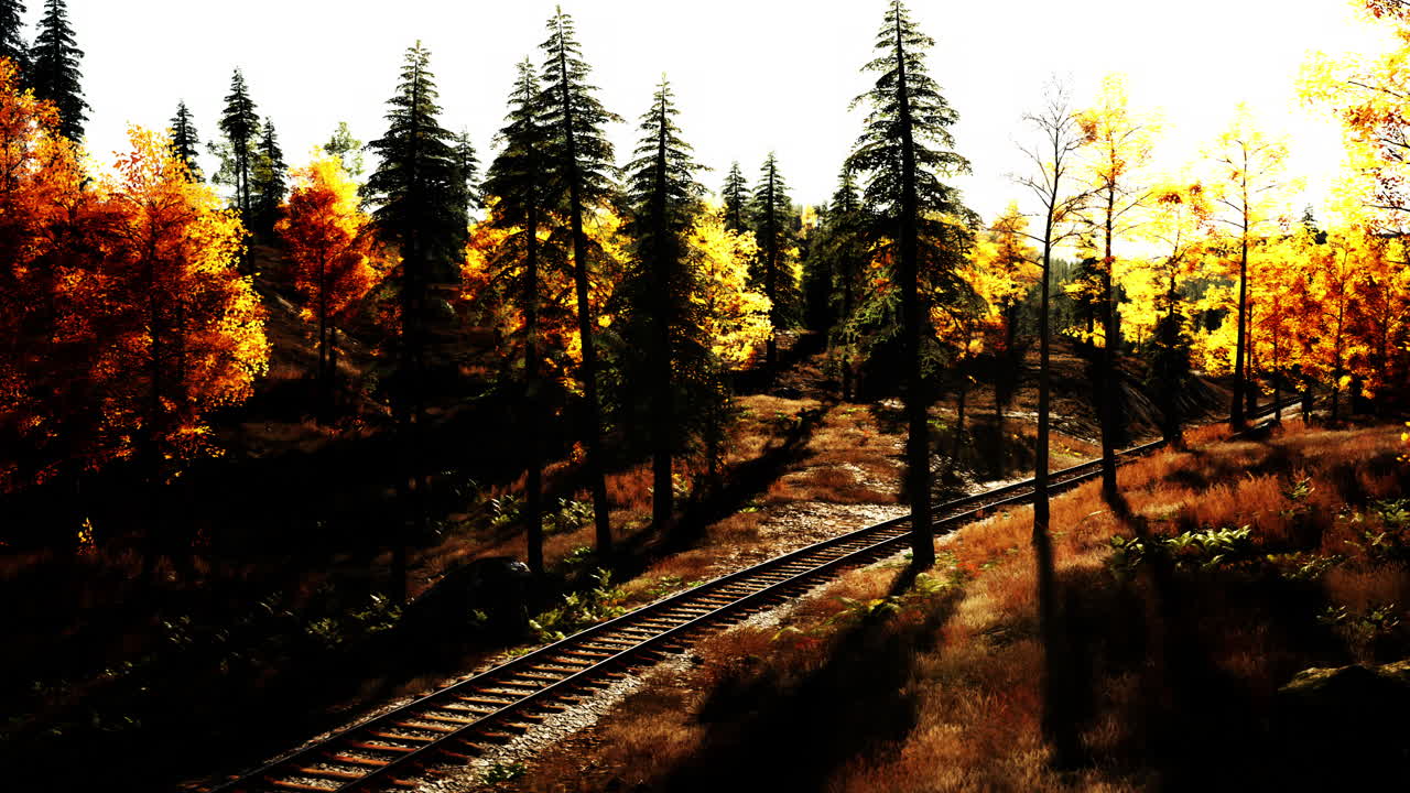 숲 속 의 가을 열차 트랙