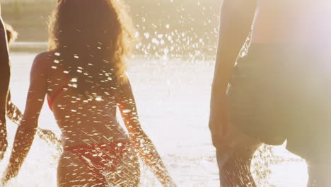 young adult friends having fun in a lake close up