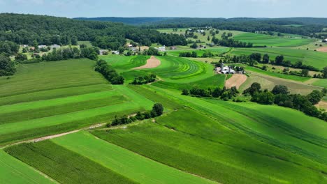 an aerial view over the lush green farmland in southern lancaster county, pennsylvania on a sunny summer day