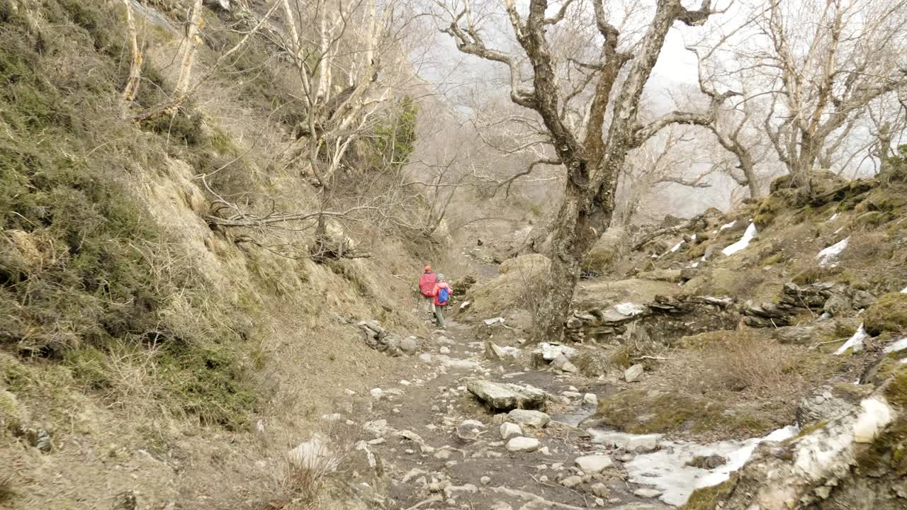 이 부부는 네팔 산맥의 신비한 숲에서 산책하고 있습니다.