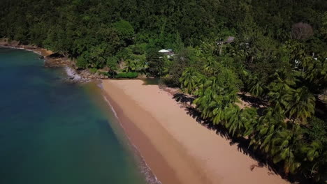 Aéreo,-Acercándose-A-Un-Extremo-Vacío-De-Una-Playa-De-Arena-Con-Palmeras