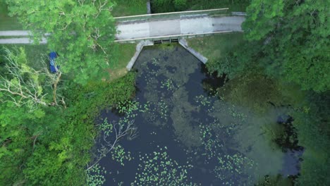 "Drone-soars-over-Europe's-dawn-lit-lake,-capturing-nature's-beauty—a-serene-lagoon,-lush-forest,-an-elegant-bridge,-and-a-water-dam