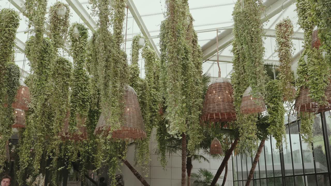 indoor space filled with hanging vines and basket light fixtures