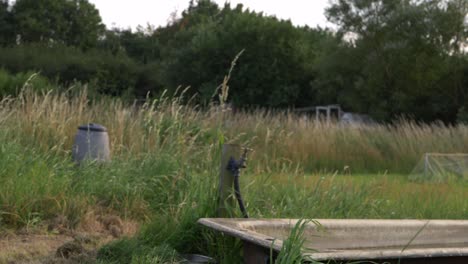 Wasserhahn-Im-Schrebergarten,-Weites-Kippen