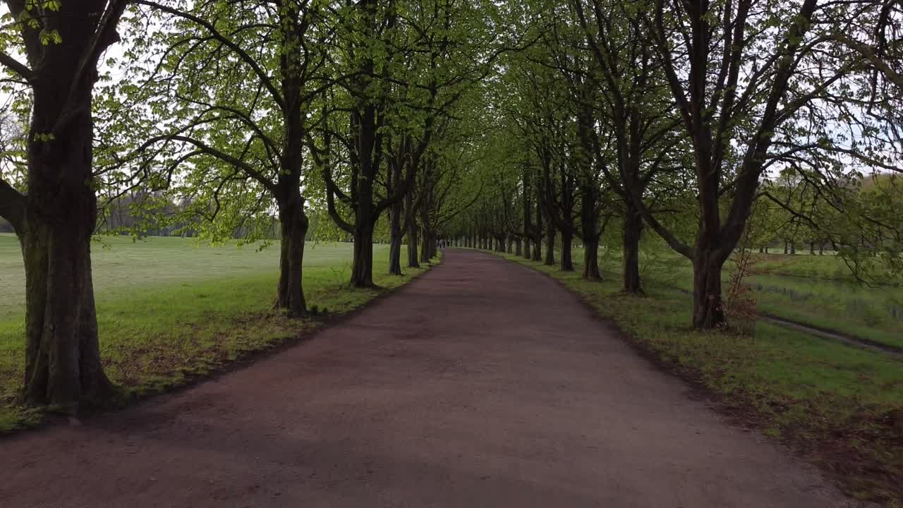 grande sentiero pedonale in un bellissimo viale alberato a colonia nella cintura verde