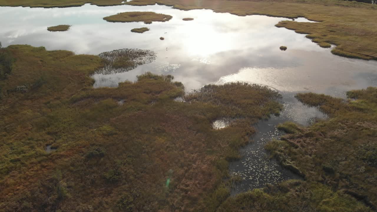 Flying over beautiful swamp spotting a huge bird flying in circles.