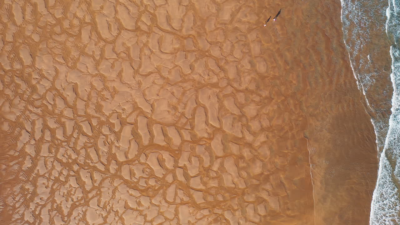 썰물 때 해변을 따라 걷는 두 사람의 하향식 공중 드론 샷