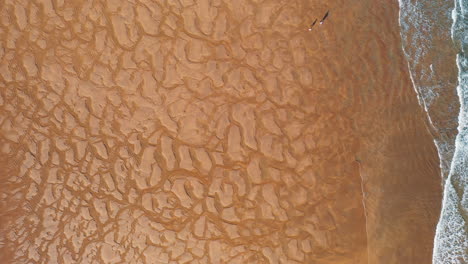 top-down aerial drone shot of two people walking along a beach during low tide