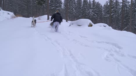 youthful-woman-have-fun-with-husky-dogs-outdoors-on-snowy-forest-trail