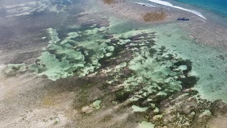 aerial drone rising over crystal clear water at low tide on a remote, idyllic tropical island destination