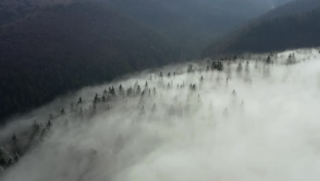 Aerial-descent-towards-forested-mountain-foothill-covered-in-fog