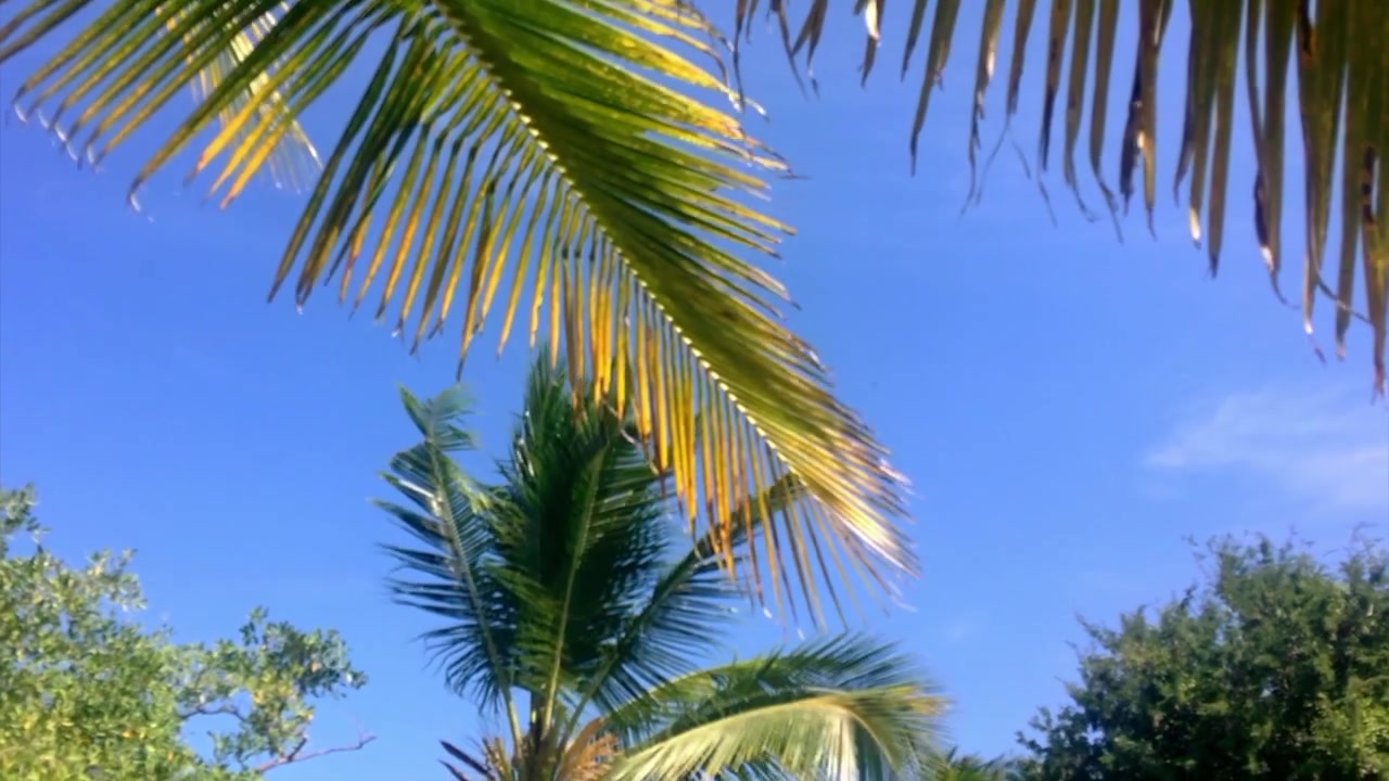 Cielo mozzafiato su una spiaggia a Panama. Bellissimo cielo blu