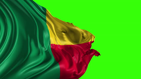 flag of benin