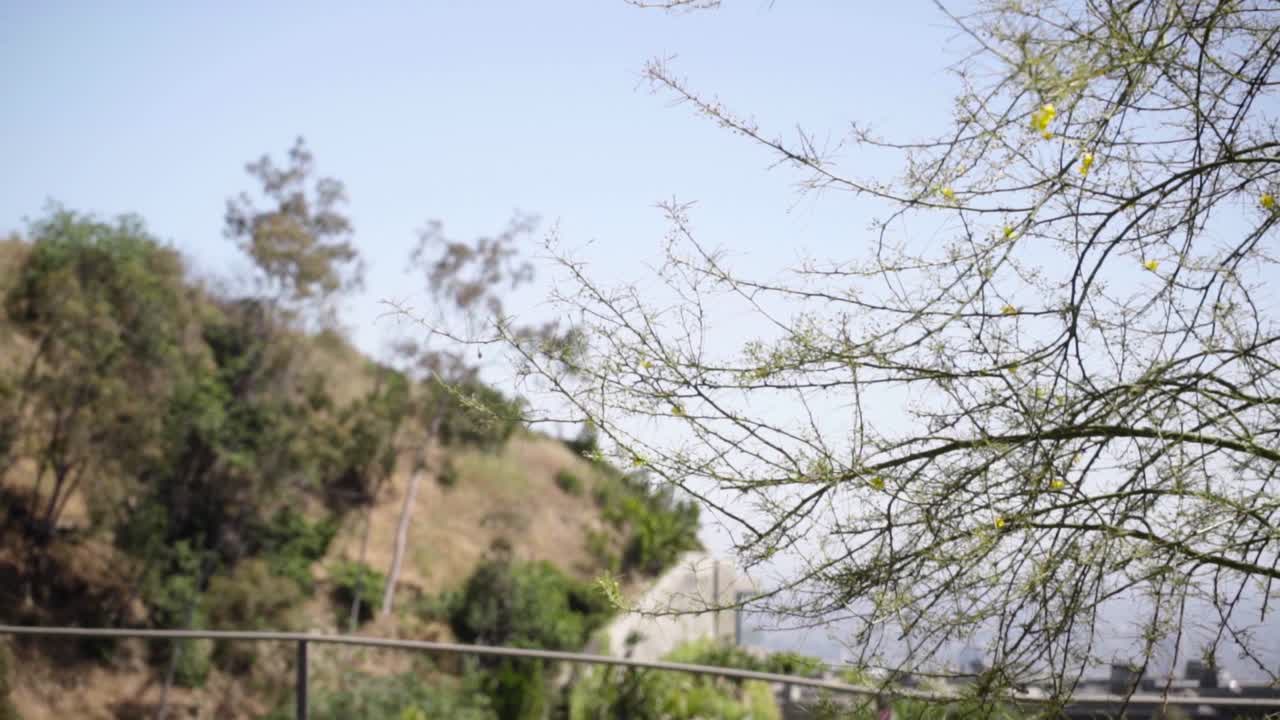 할리우드 힐스 트랙