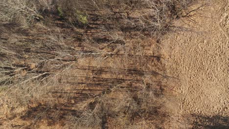 Aéreo:-Disparo-Cenital-Lento-Sobre-Bosques-Y-Campos-En-Los-Apeninos