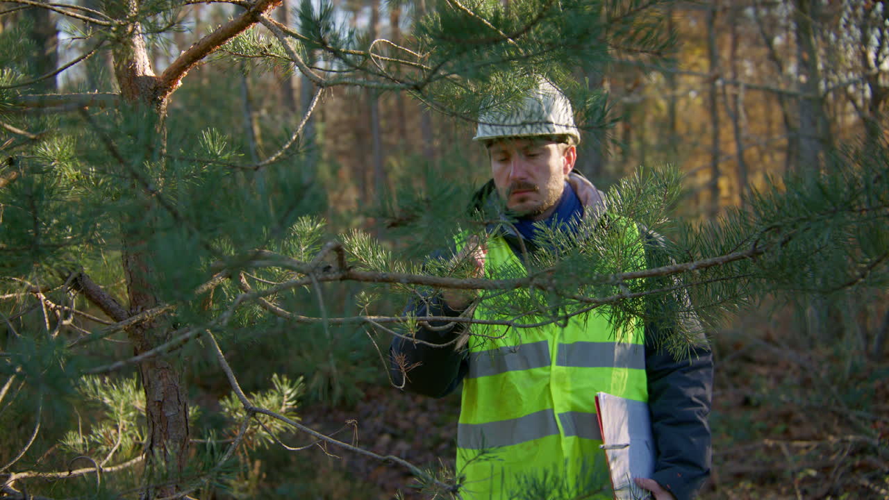 Male woodcutter engineer touching leaves of the tree while carrying clipboard and wearing safety vest, handheld