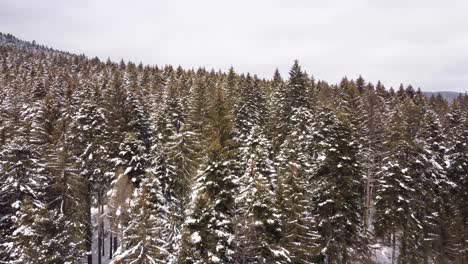 Drone Shot Flying Snowy Mountain