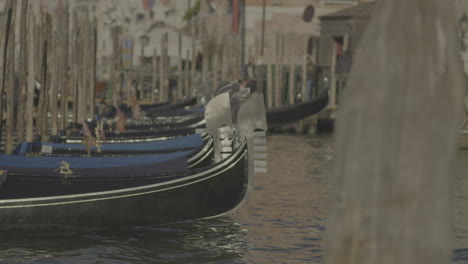 gondolas in venice canal