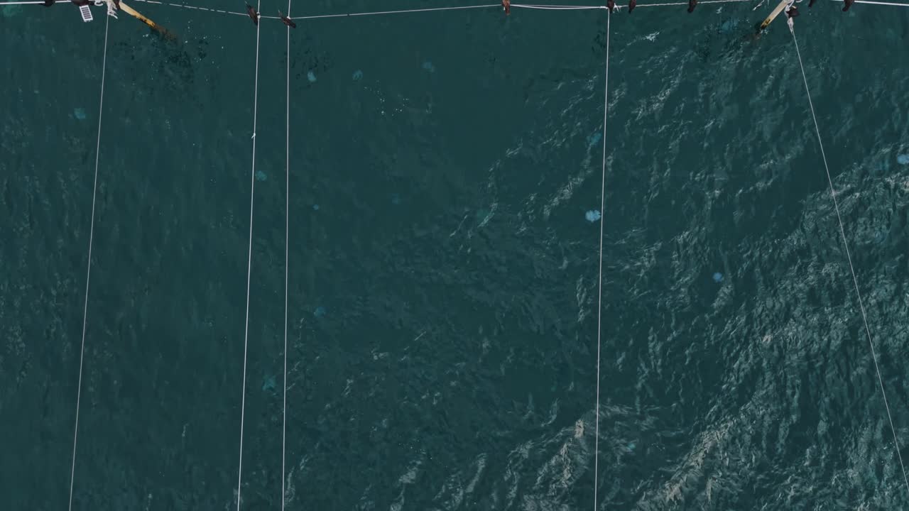 Vista aerea delle reti da pesca nelle acque della Bulgaria