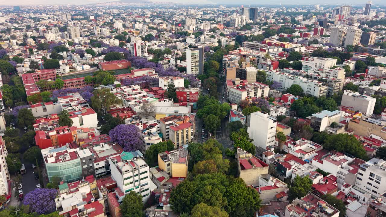 CDMX'te jakaranda çiçekleriyle kentsel yerleşimin drone görüntüsü