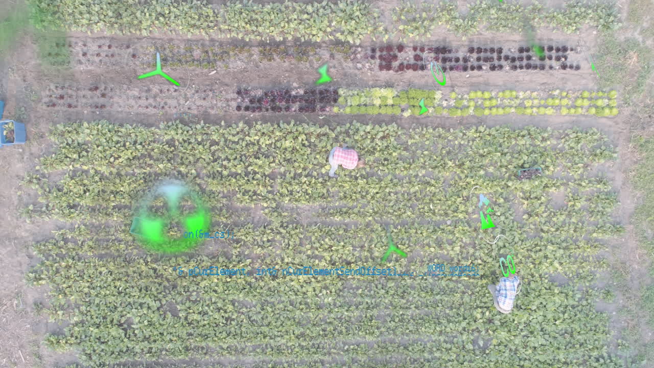animación de iconos digitales y procesamiento de datos sobre el campo
