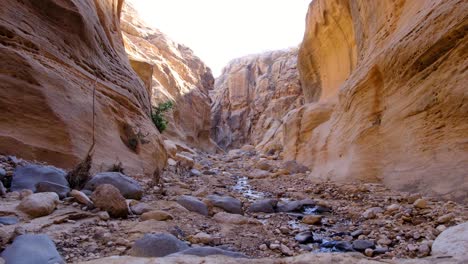 Deep-within-rugged-and-remote-Wadi-Ghuweir-canyon-landscape-with-running-freshwater-stream-and-sandstone-valley-walls-in-Jordan