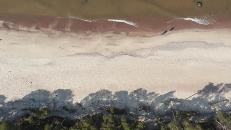 Antenne:-Draufsicht-Auf-Menschen,-Die-An-Einem-Sandstrand-In-Der-Nähe-Der-Ostseeküste-In-Klaipeda-Spazieren-Gehen