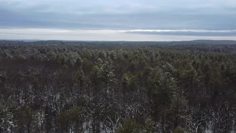 imágenes aéreas sobre un bosque en el este de massachusetts