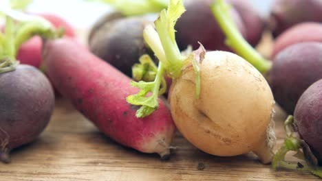 close-up of fresh radishes