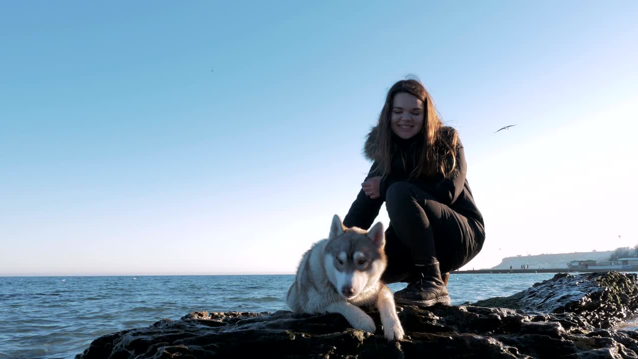 바다 근처의 시베리아 허스키와 함께 바위 위에 앉아있는 어린 소녀