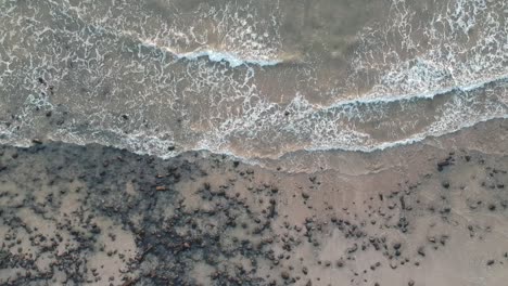 aerial footage of beach, india | travel | sunset | water | sea | arabian sea | summer in india