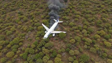 aerial view of an airplane crash site surrounded by dense greenery and smoke rising from the plane amidst rescue operations on the ground
