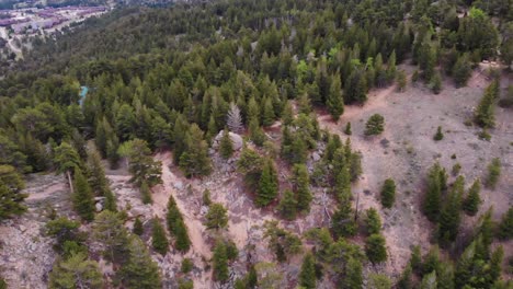 Vista-Aérea-De-Una-Montaña-Con-Muchos-Pinos-En-El-Parque-Nacional-Estes