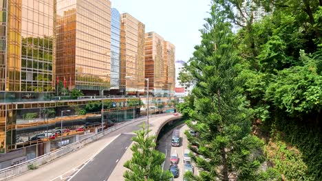 calle ocupada con edificios y vegetación